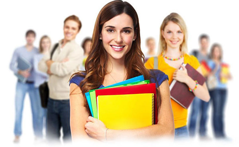 Law Assignment Help Services